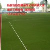新疆博乐市批发人工草坪 足球人造草坪足球场施工服务